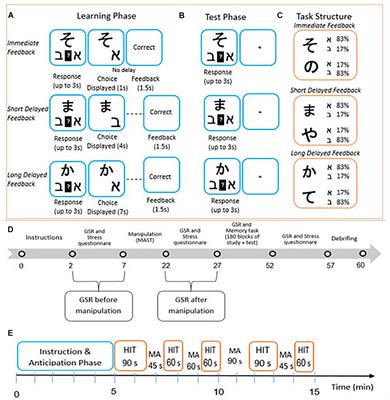 Does Acute Stress Impact Declarative and Procedural Learning?